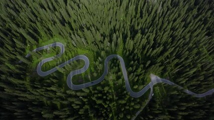 dolomites dronemounted sensors record river meanders for ecological assessment, aerial imaging technology documents river pathways within densely wooded wetland areas for conservation - Powered by Adobe