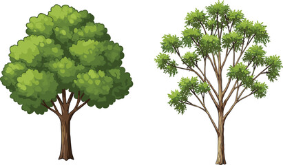 Realistic green trees, summer foliage vector, natural tree drawing, landscape illustration, CAD drawing flat vector illustration, isolated clipart design