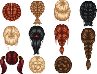 Collection of diverse hairstyles seen from behind showcasing various braiding techniques and hair colors for women