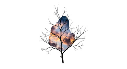 Colorful Autumn Leaf with Bare Branches.