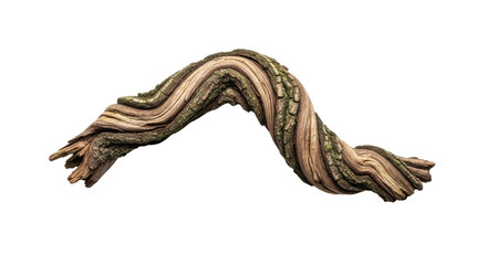 Colorful Snake with Patterned Scales and Curved Body.