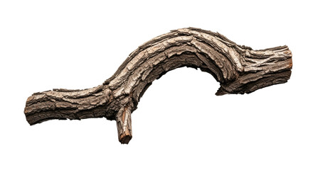 Curved Piece of Weathered Wood for Nature Design.