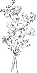 Orchid Bouquet Elegance: An elegant sketch showcases an array of delicate orchid blooms artfully arranged, creating a visually captivating display of floral beauty.