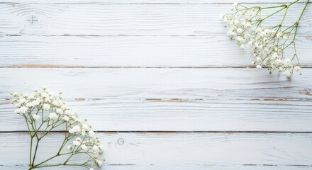 Top view of delicate white babys breath flowers arranged in the corners of a rustic, distressed white wooden plank background, creating a beautiful, airy copy space for text or design