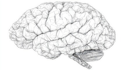Detailed Conceptual Illustration of a Human Brain against White Background Depicting Mental Processes