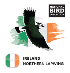National Bird Set Ireland Northern Lapwing Vector Character