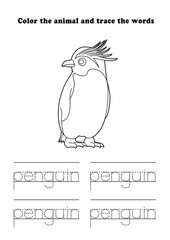 Learning Worksheet Rockhopper Penguin Coloring Tracing