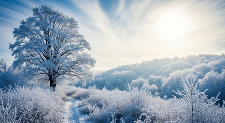 Stunning winter landscape featuring a solitary tree heavily laden with frost and snow under a bright, sunny sky, illuminating a vast, frozen forest scene