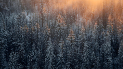 Snowy Forest Christmas Scene