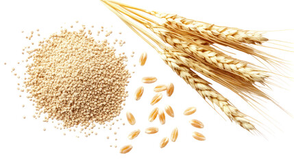 Wheat grains and flour pile with wheat stalks isolated on transparent background
