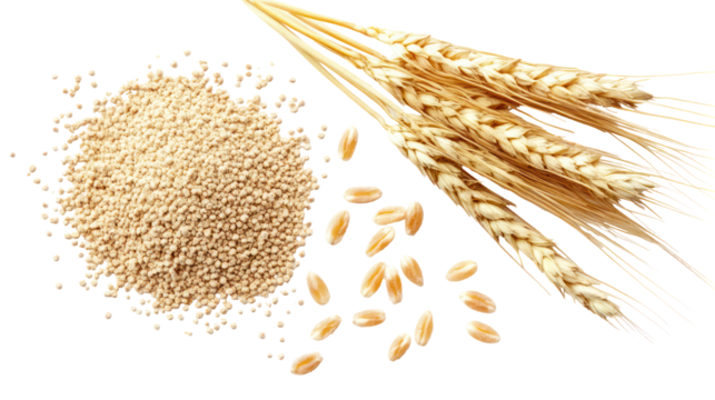 Wheat grains and flour pile with wheat stalks isolated on transparent background