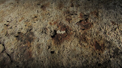 rusty metal texture