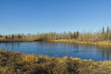 A Sunny Autumn Day at Pylypow Wetlands