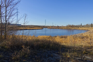 A Sunny Autumn Day at Pylypow Wetlands