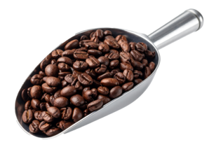 Dark Roasted Coffee Beans in Metal Scoop on White Background