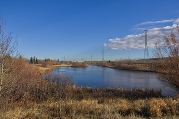 A Sunny Autumn Day at Pylypow Wetlands