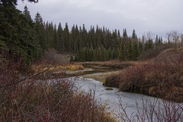 A Cloudy Autumn Day at Whitemud Park