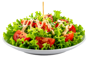 Fresh Salad with Tomato and Dressing on White Plate