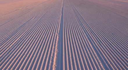 Aerial view of groomed snow with parallel lines and a pinkish hue during the early morning light