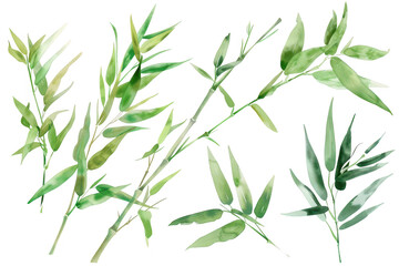 Fototapeta premium A collection of green watercolor leaves various shapes and sizes. ideal for botanical illustrations or nature-themed designs. set against a clean white background