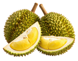 Prickly durian fruit, one sliced, exposing yellow flesh