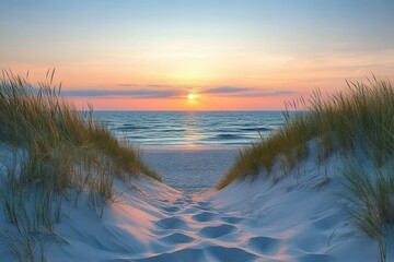 Peaceful sunset over the ocean viewed from sandy beach path framed by tall beach grasses under a clear sky