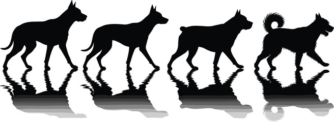 Vector illustration of four black dog silhouettes walking in a line with water reflections, isolated on white background for veterinary or pet design.