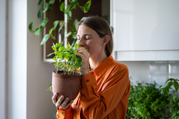 Fototapeta premium Woman with closed eyes enjoying smelling green mint plant on kitchen at home. Gardener amateur plant lover growing fresh herbs. House planting, gardening eco ecology products ingredients for cuisine.