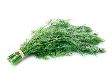 Bunch of fresh green dill on white background