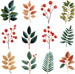 Set of dry and green leaves, red berries, in clip art style, isolated on white background