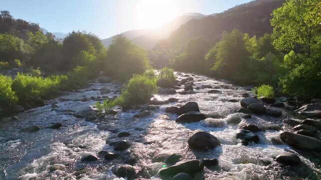 Aerial Lush River Valley Fly Through With Rocky Rapids and Sunlit Greenery