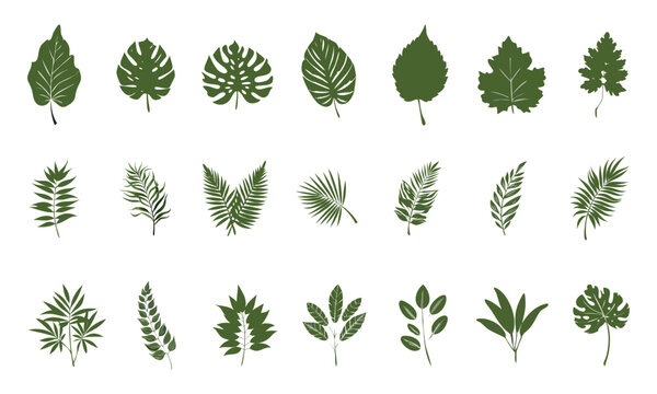 Vibrant green clover leaf set for saint patrick s day celebrations perfect for festive designs and irish themed projects