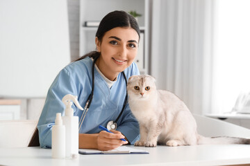 Young female veterinarian with cute Scottish fold cat in vet clinic