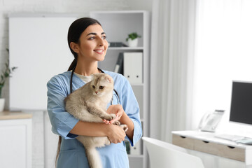 Young female veterinarian holding cute Scottish fold cat in vet clinic