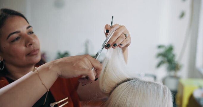 Salon, women and scissors for trim, beauty and hair maintenance with equipment, comb and appointment. Hairdresser, services and hairstyle with tools in small business, people and haircut for client