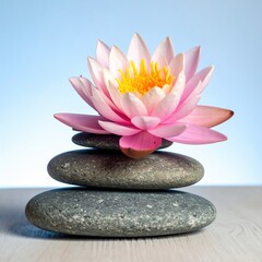 Pink lotus flower atop a stack of smooth gray stones against a light blue background