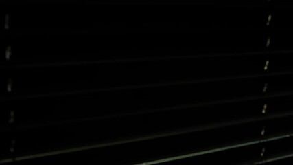 View through window blinds showing a sunlit backyard with green grass, trees, and a trampoline, with soft morning light and shadows across the lawn. - Powered by Adobe