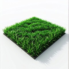 Square patch of vibrant green grass (4)