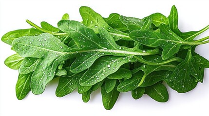 Fresh green arugula leaves with water droplets on white background, vibrant crisp salad greens evoking freshness and appetizing natural flavor