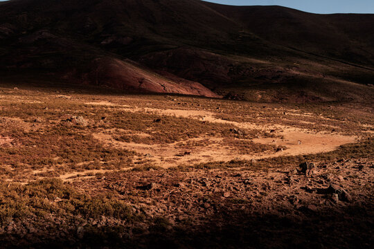 puna de huanca sancos