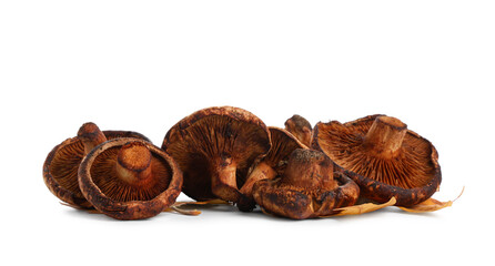 Shiitake mushrooms with autumn leaves on white background