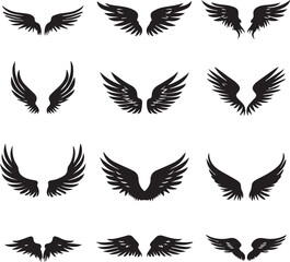 Black silhouette Wings set with long feather on white background