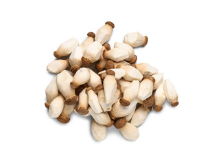 Fresh king oyster mushrooms on white background