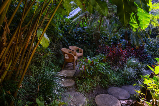 Nature Gardens in Barbados Caribbean
