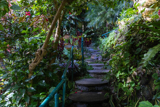 Nature Gardens in Barbados Caribbean
