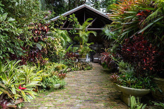 Nature Gardens in Barbados Caribbean
