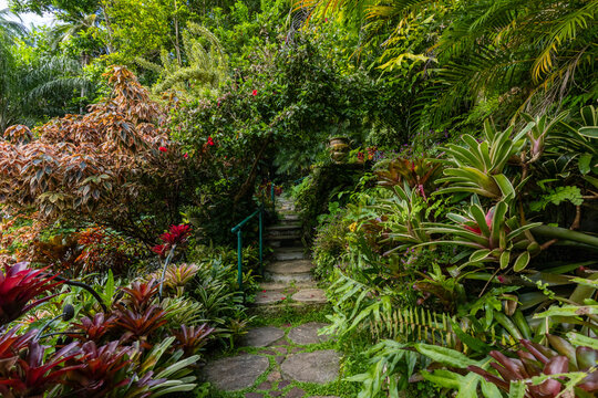Nature Gardens in Barbados Caribbean
