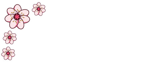 Presentation template background with pink cherry blossom pattern. Business promotion backdrop. Plant and flower&nbsp;sakura&nbsp;banner