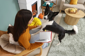 Obraz premium Young woman with blank book in armchair and Border Collie dog at home on autumn day, top view