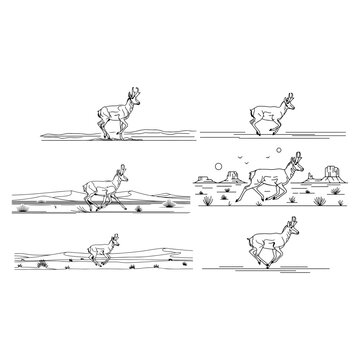 Thin linear silhouette of Pronghorn antelope running in desert, minimal clean lines,